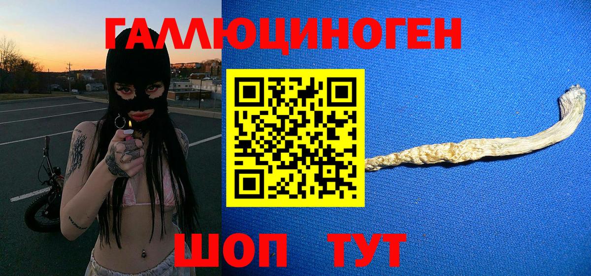 Псилоцибиновые грибы GOLDEN TEACHER  Псилоцибиновые грибы Psilocybine cubensis  Вход с VPN  Урюпинск 
